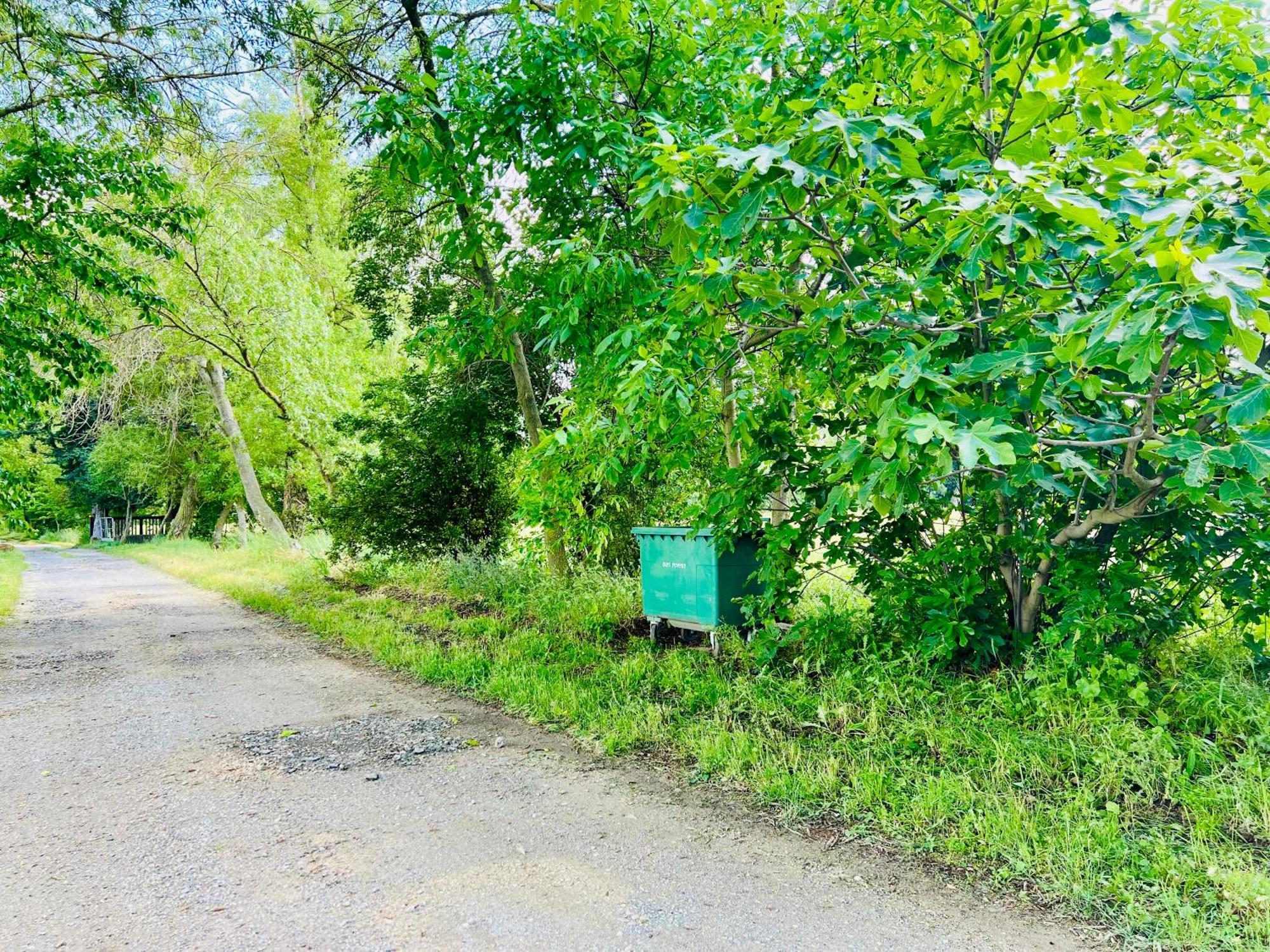 Le Moun Mazet Gite Rural 3 Etoiles, Clim, Nature, 6 Personnes Мірамас Екстер'єр фото